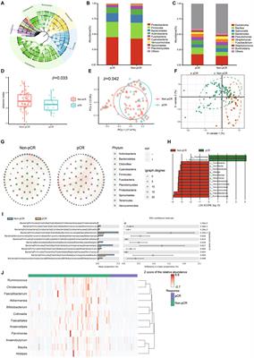 Interaction between intratumoral microbiota and tumor mediates the response of neoadjuvant therapy for rectal cancer